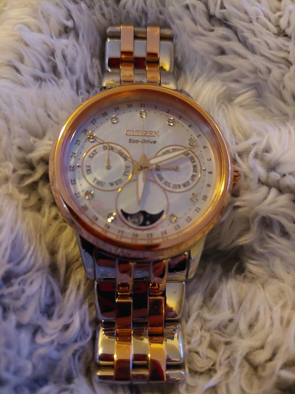 Citizen Women's Eco Drive Calendrier Watch