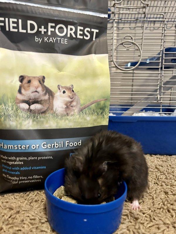 Hamster food clearance petsmart