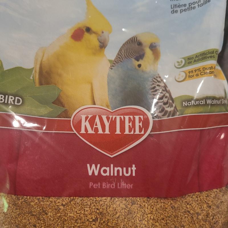 Walnut shop bird litter