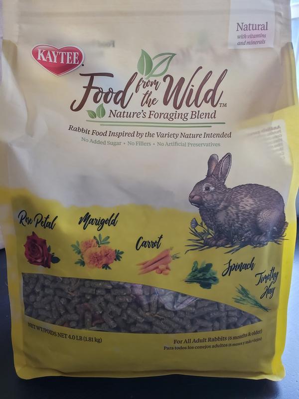 Wild bunny outlet food