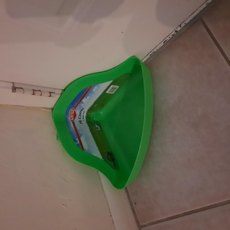 Review photo 3.