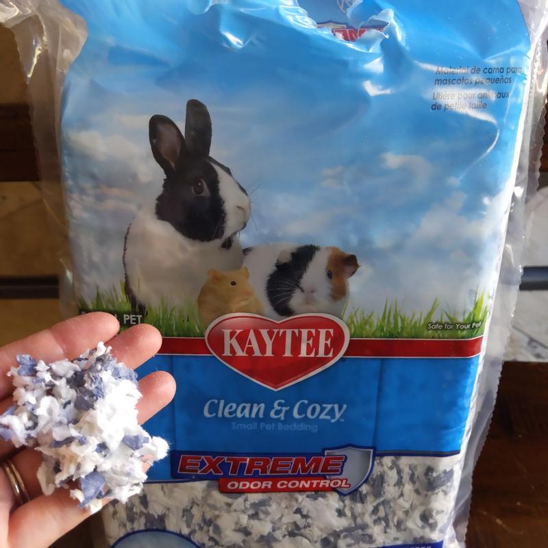 Kaytee clean outlet and cozy review