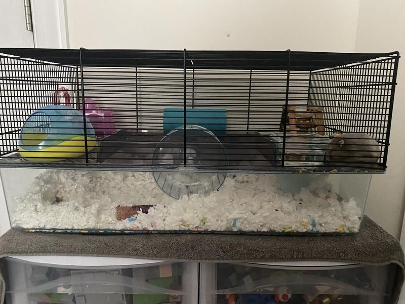Confetti bedding in bottom of cage