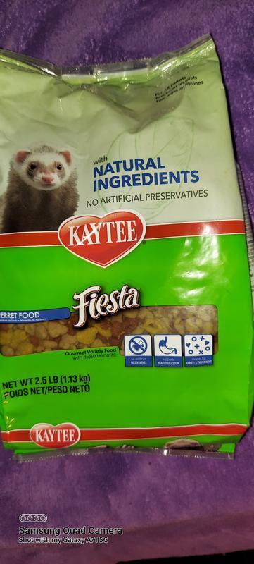 Kaytee fiesta hotsell ferret food