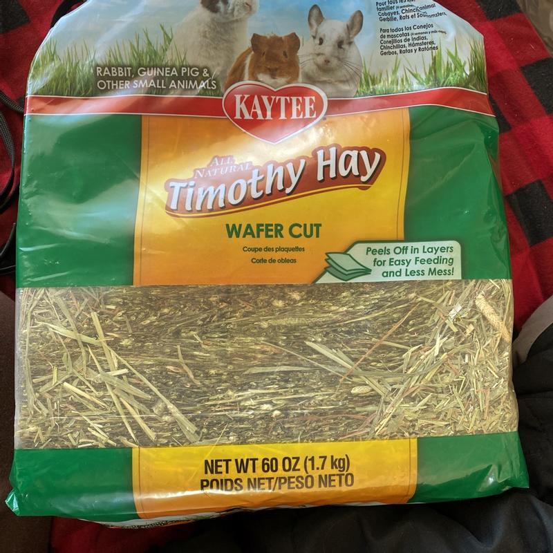 Kaytee Timothy WaferCut Hay for Rabbits & Small Pets 60 oz