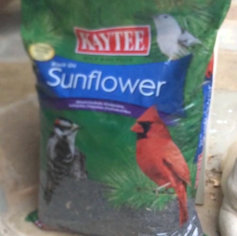 Kaytee Black Oil Sunflower Seed Pet Supplies Plus