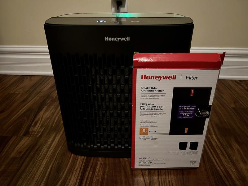 Smoke filter (optional)