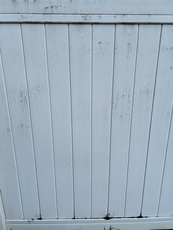 Review photo 7.