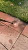 KARCHER K4 POWER CONTROL FLEX