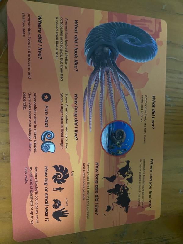 Review Thumbnail Image 0 354578323