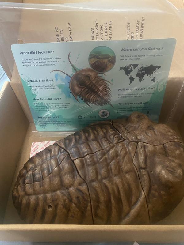 Review Thumbnail Image 0 372517776