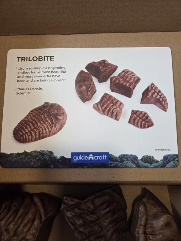 Review Thumbnail Image 1 354578325