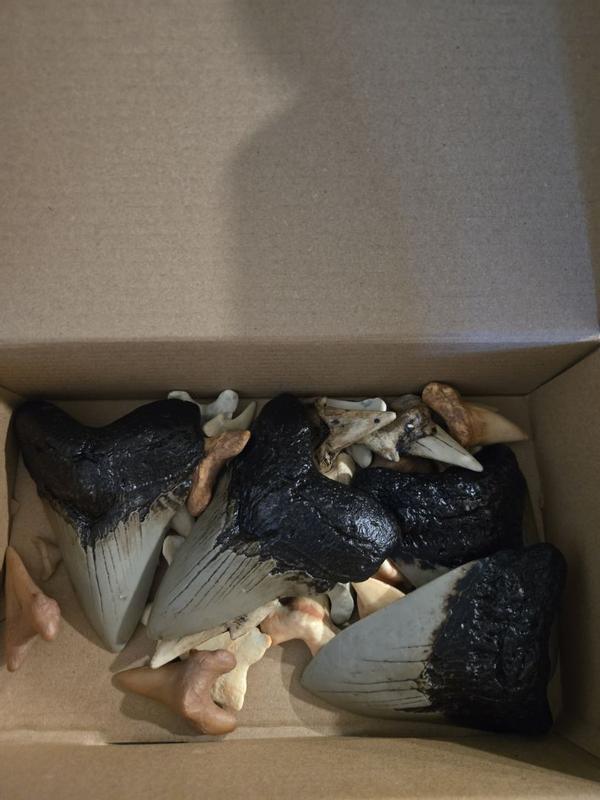 Review Thumbnail Image 0 356772073