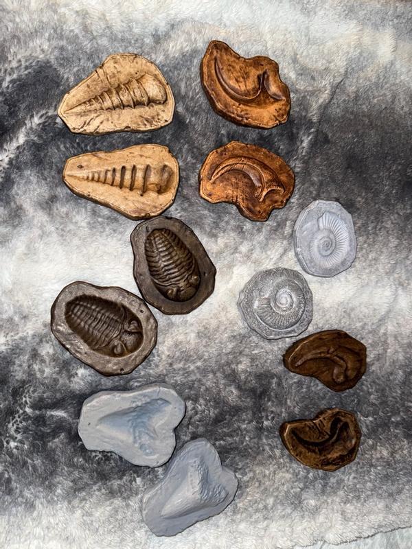 Review Thumbnail Image 0 356772082