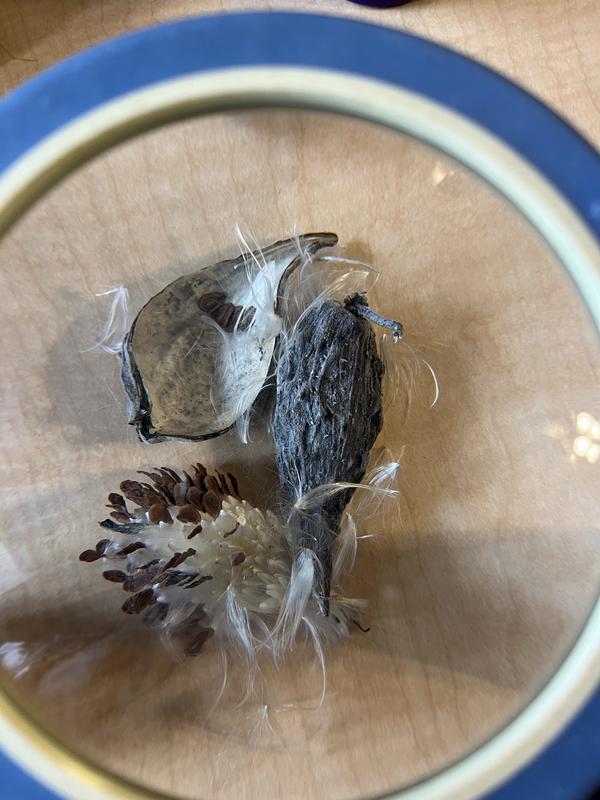 Review Thumbnail Image 1 344131141