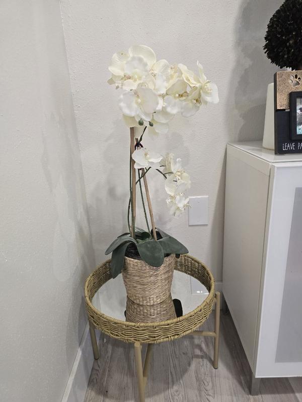 Review Thumbnail Image 0 354578310