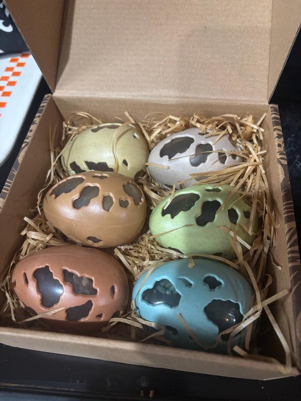 Review Thumbnail Image 0 337943085