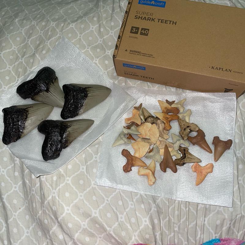 Review Thumbnail Image 0 356772075