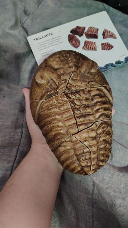 Review Thumbnail Image 3 356772108