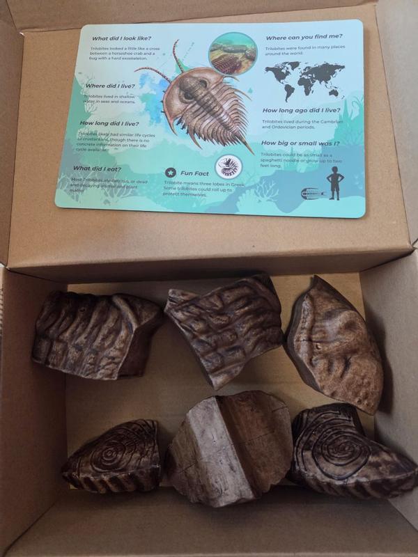 Review Thumbnail Image 2 354578325