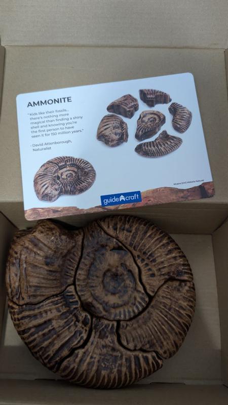 Review Thumbnail Image 0 356772105