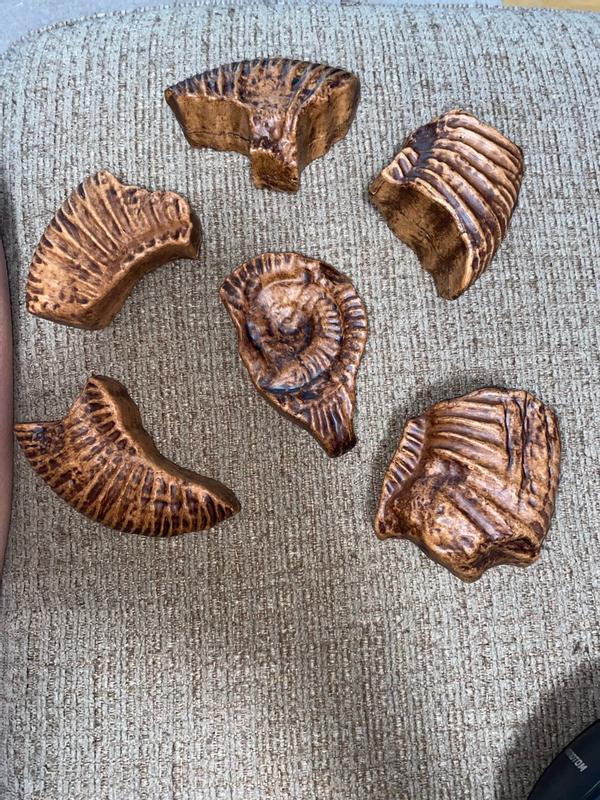 Review Thumbnail Image 3 354578323