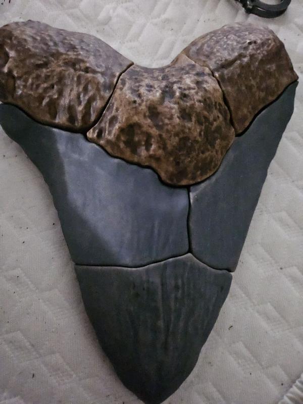 Review Thumbnail Image 0 354578317