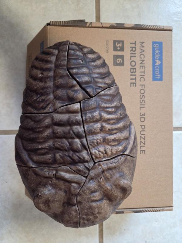 Review Thumbnail Image 0 354578325