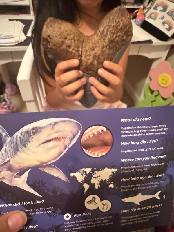 Review Thumbnail Image 0 354578319