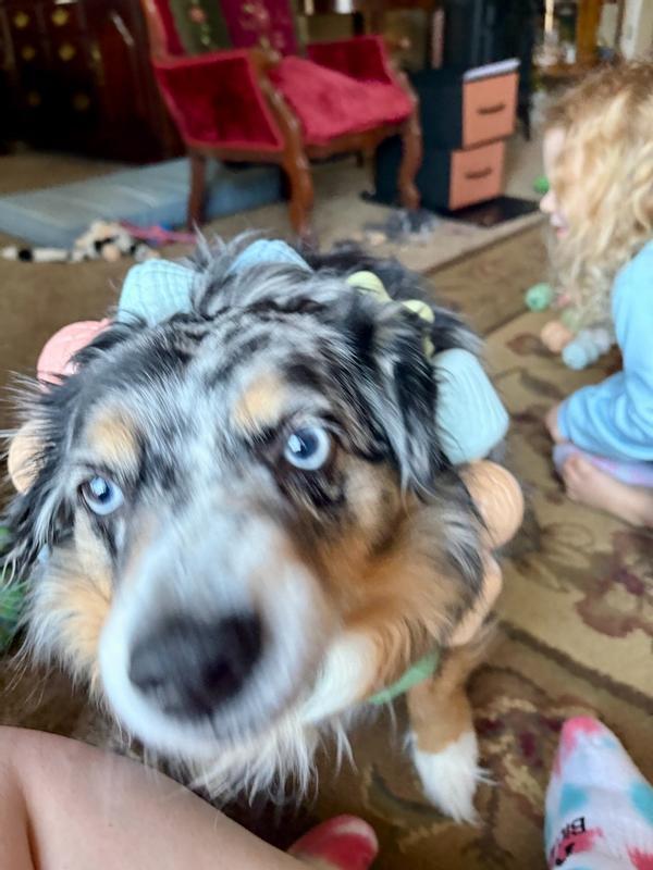 Review Thumbnail Image 0 380522159