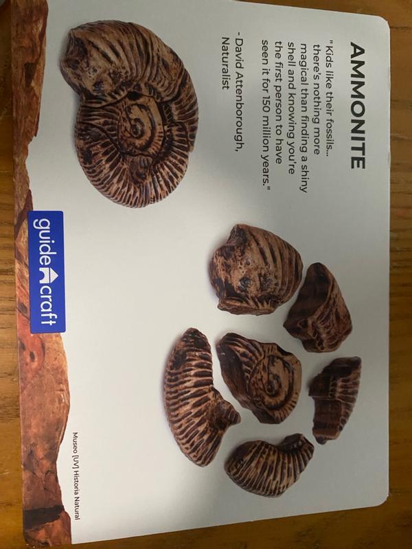 Review Thumbnail Image 2 354578323