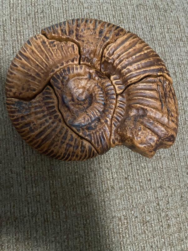 Review Thumbnail Image 1 354578323