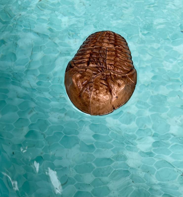 Review Thumbnail Image 0 354578327