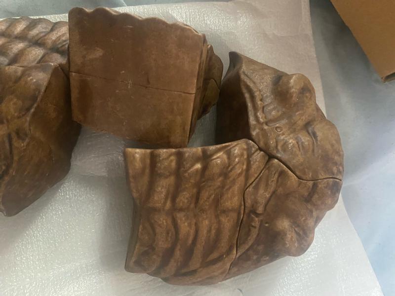 Review Thumbnail Image 2 372517776