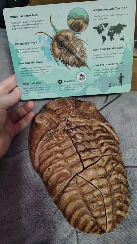 Review Thumbnail Image 1 356772108