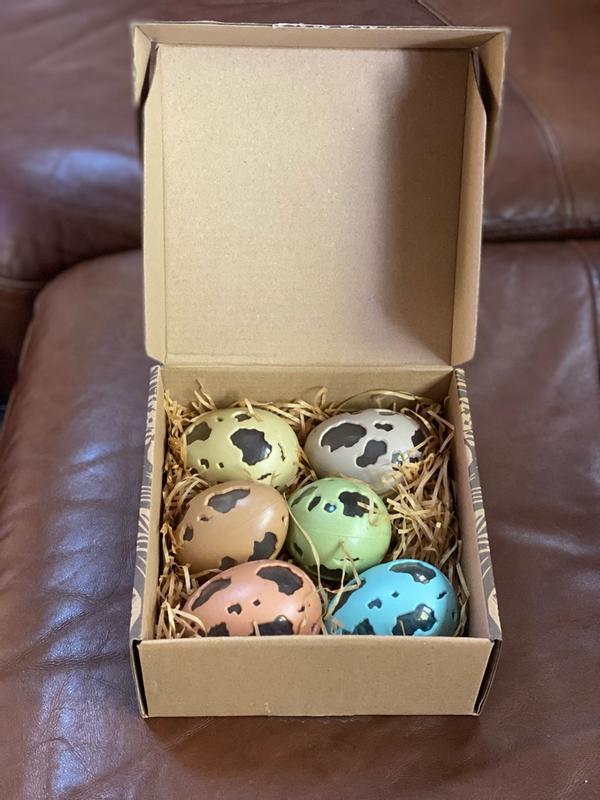 Review Thumbnail Image 0 338851028