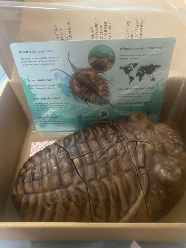 Review Thumbnail Image 1 372517776