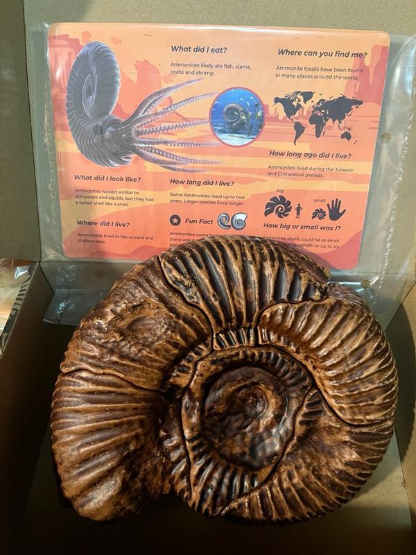 Review Thumbnail Image 0 353482840