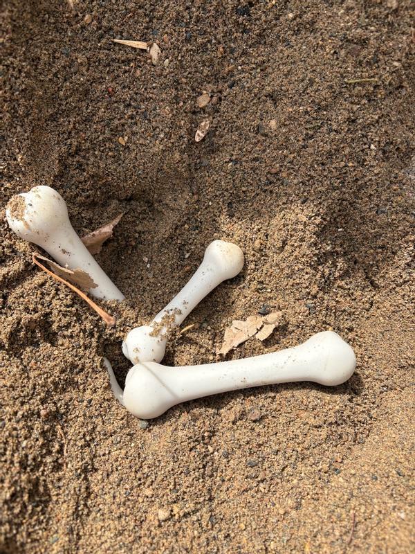 Review Thumbnail Image 0 347372859