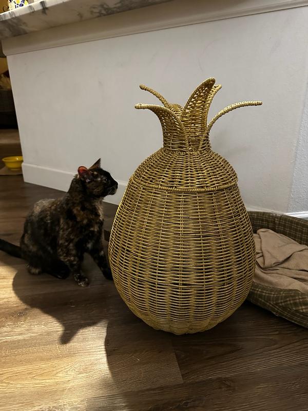 Pineapple Washable Wicker Floor Basket | Kaplan Early Learning