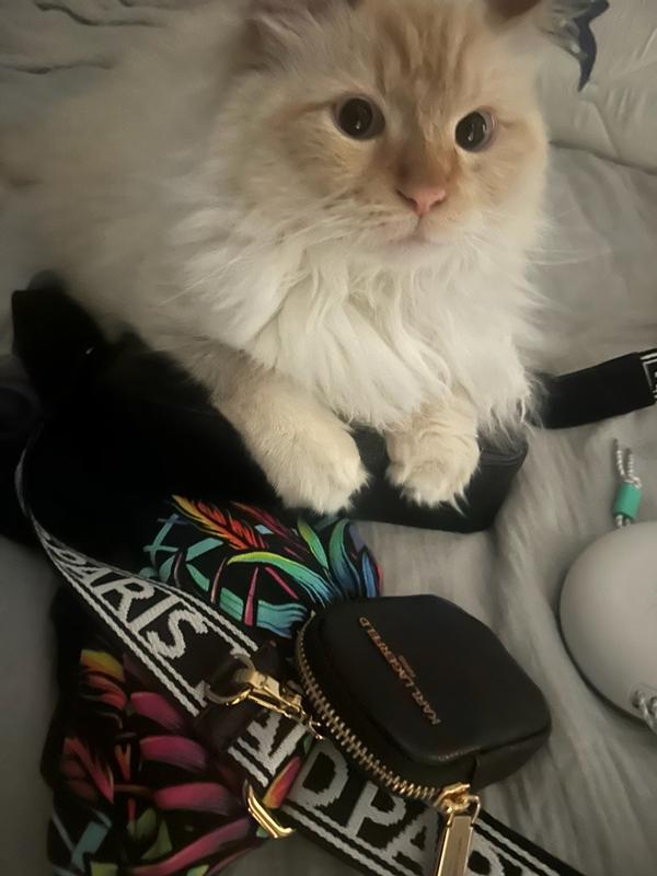 Review Thumbnail Image 0 377820697