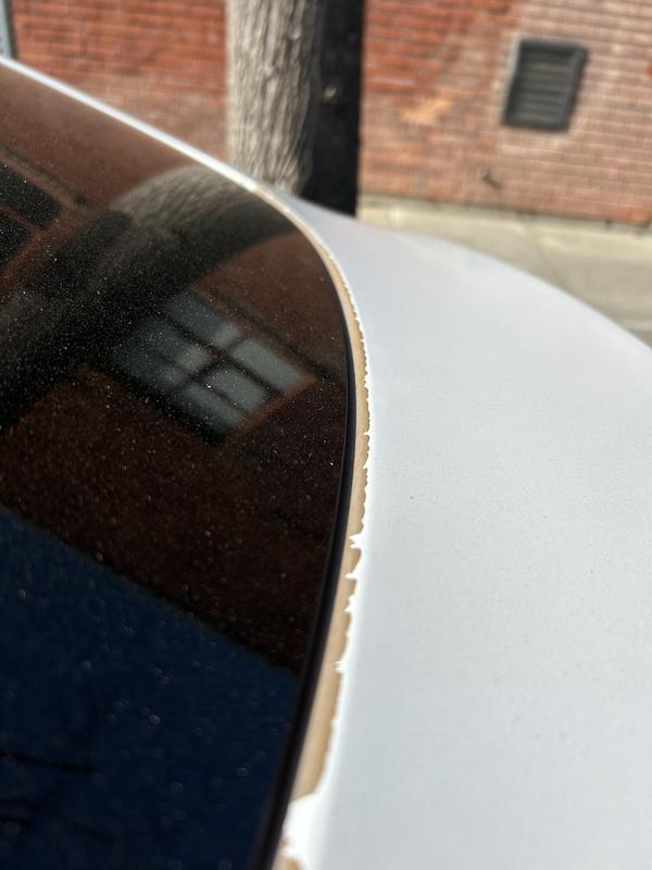 tesla model-y 2022 Image - 39968288