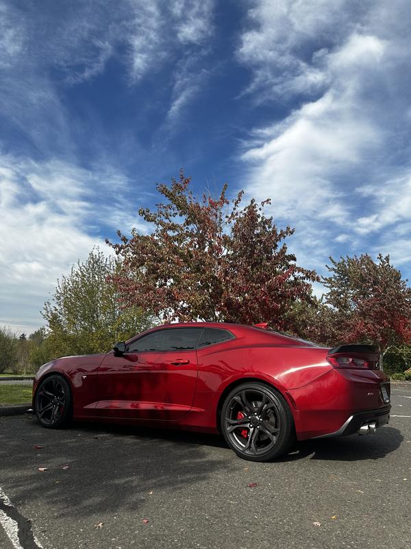 chevrolet camaro 2024 Image - 41271257