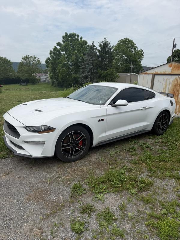 ford mustang 2015 Image - 52198152