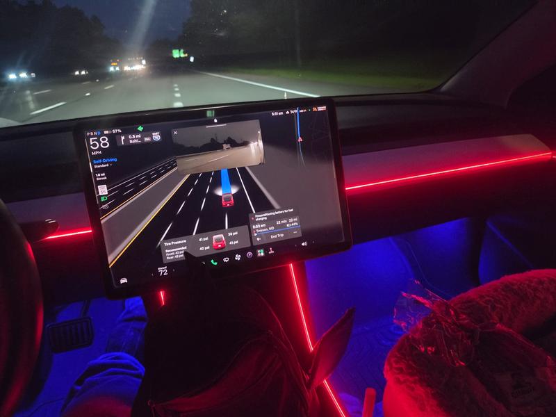 tesla model-3 2021 Image - 53505617