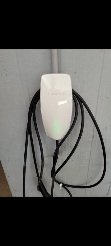 tesla model-3 2020 Image - 44897400