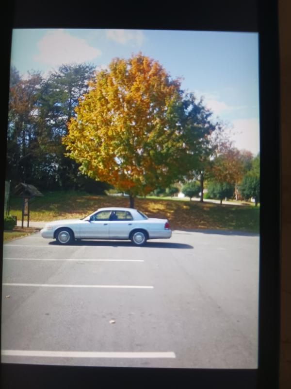 ford crown-victoria 2007 Image - 47526514