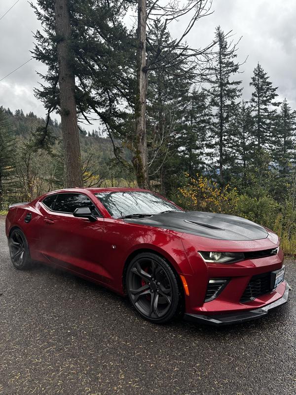chevrolet camaro 2024 Image - 41271256