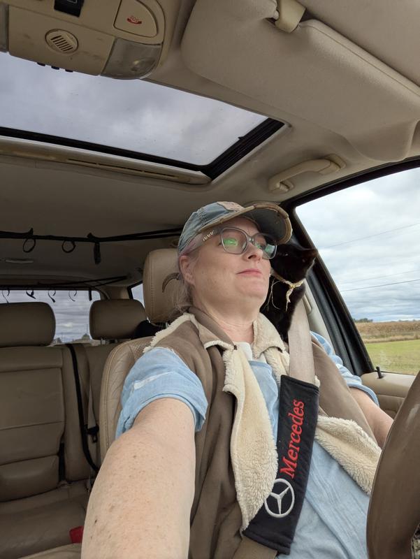 mercedes-benz m-class 2003 Image - 46937132