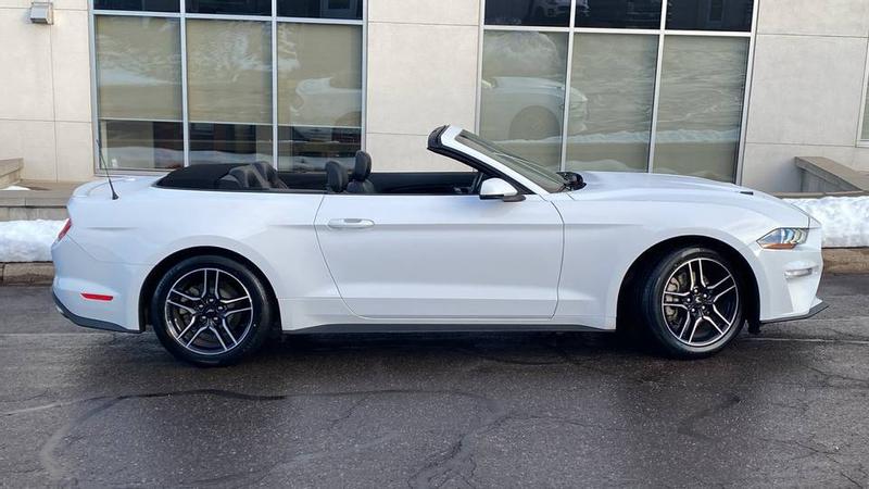 ford mustang 2019 Image - 51155597